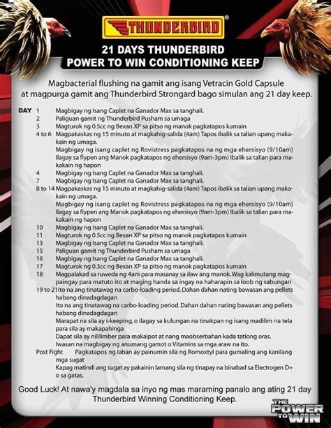 21 days conditioning method for gamefowl|21 DAYS THUNDERBIRD POWER TO WIN .